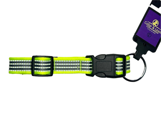 Premium Reflective Collar & Classic Leash Combo Set - KIWI