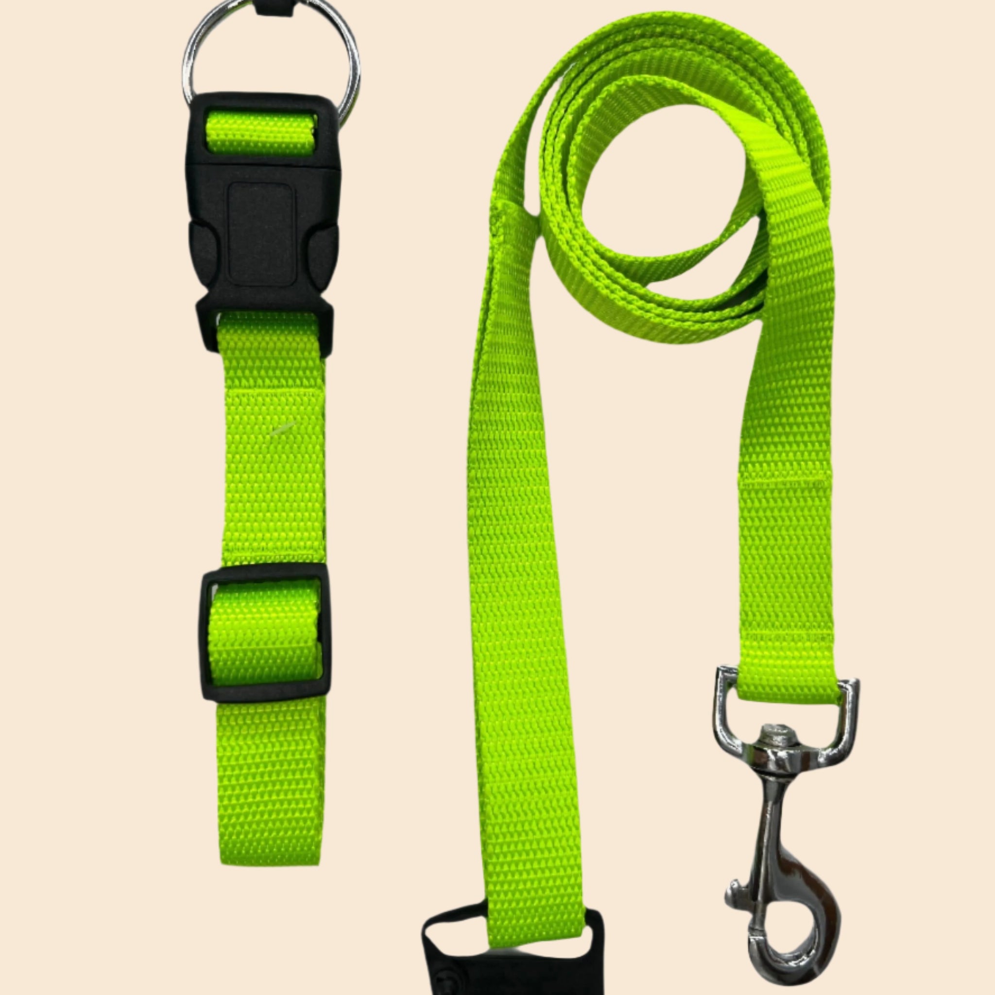 Pet Walk Essential Collar & Leash Combo Set - Kiwi