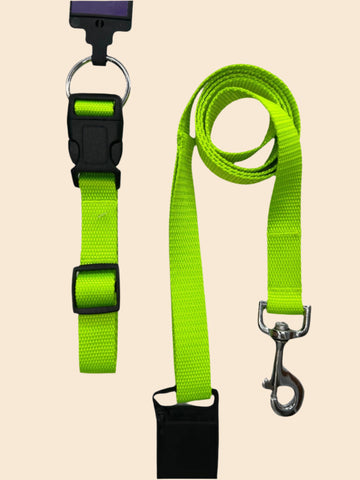 Pet Walk Essential Collar & Leash Combo Set - Kiwi