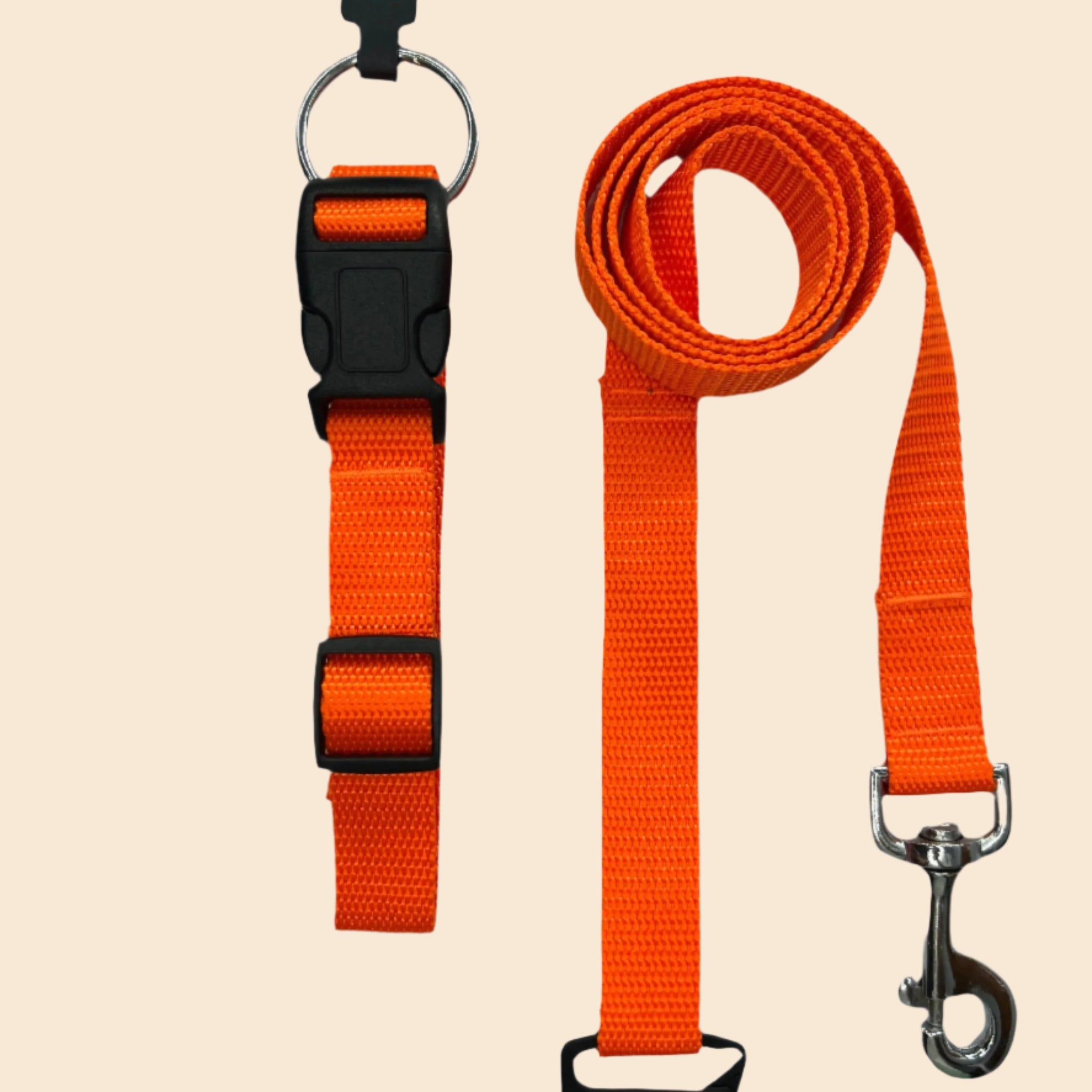 Pet Walk Essential Collar & Leash Combo Set - Orange