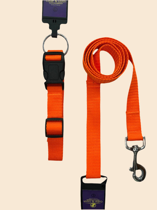 Pet Walk Essential Collar & Leash Combo Set - Orange