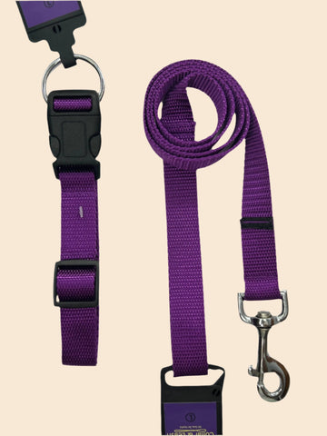 Pet Walk Essential Collar & Leash Combo Set - Purple