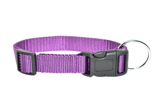 Pet Walk Essential Collar