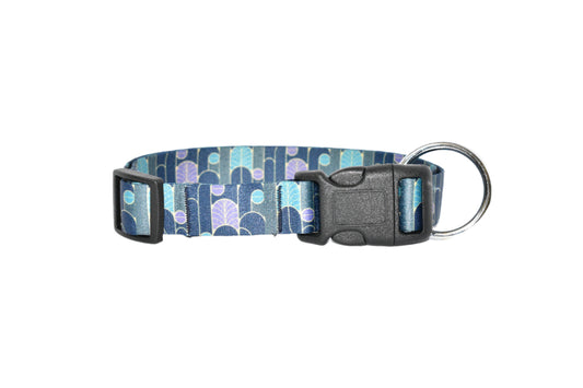 Digital Print Collar & Leash Combo Set - Green & Blue