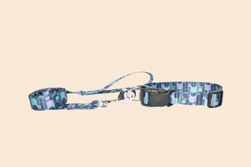 Digital Print Collar & Leash Combo Set - Green & Blue