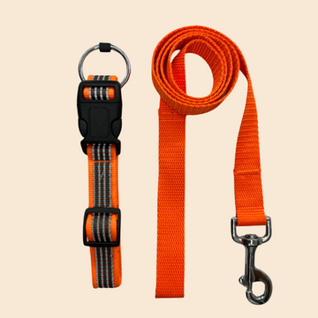 Premium Reflective Collar & Classic Leash Combo Set - Orange