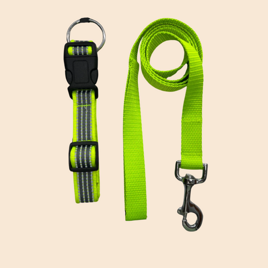 Premium Reflective Collar & Classic Leash Combo Set - KIWI