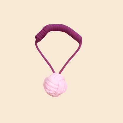 Woven -In Ball Rope Toy