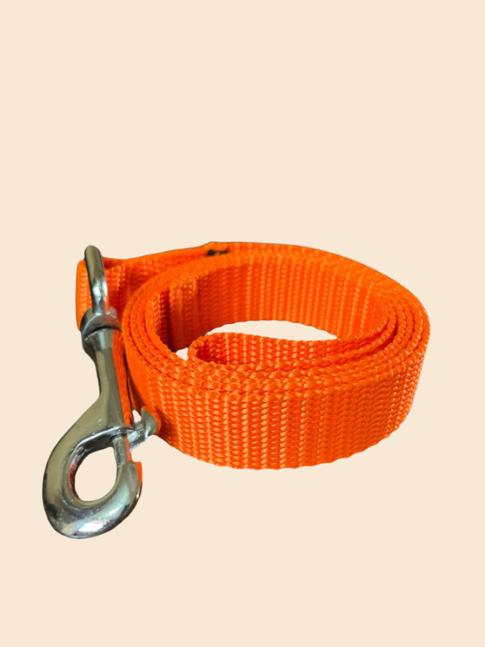 Pet Walk Essential Leash - Orange