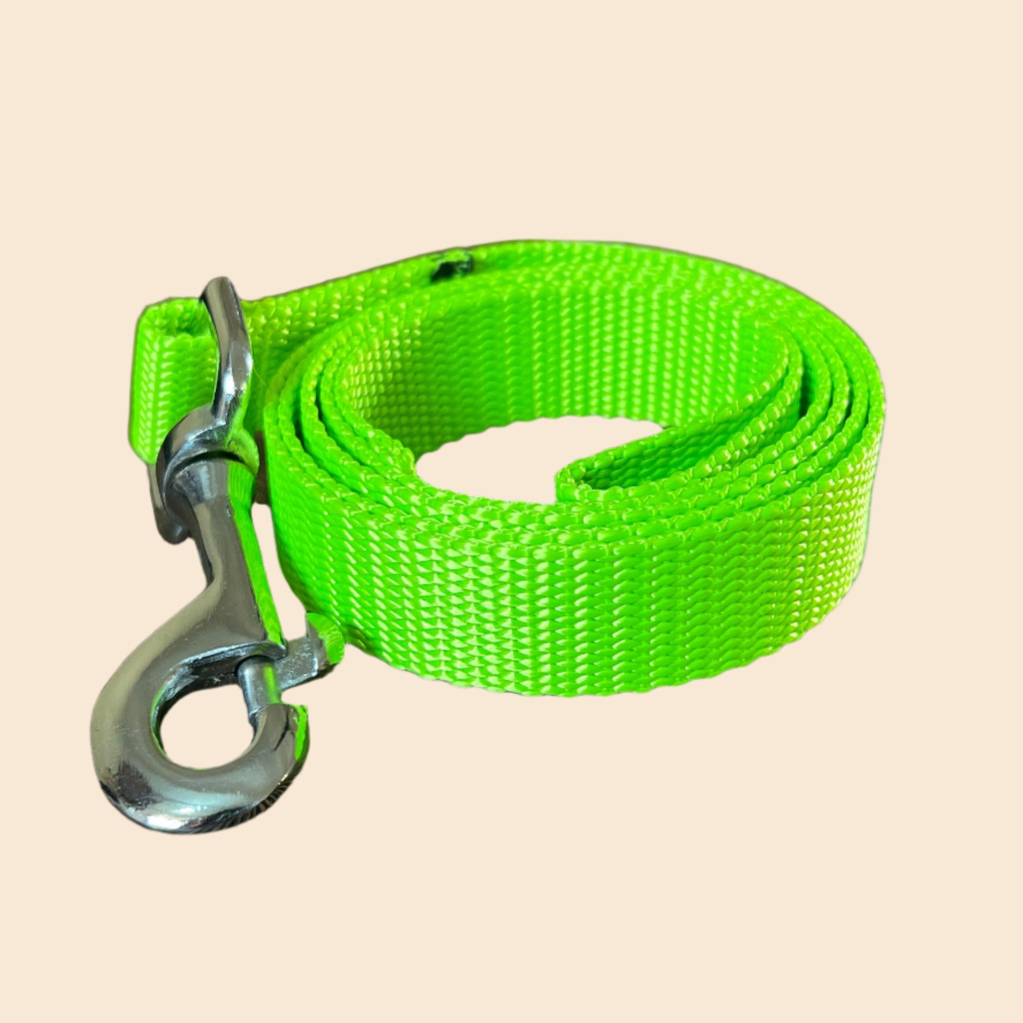 Pet Walk Essential Leash - Kiwi