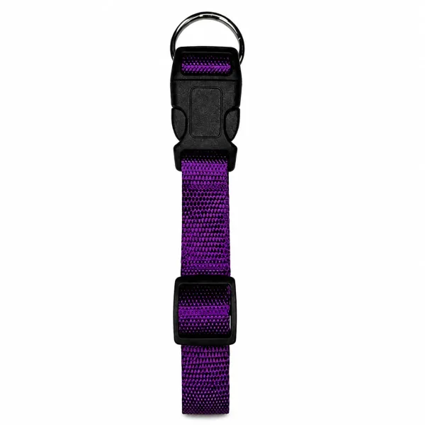 Purple Pet Walk Classic Collar