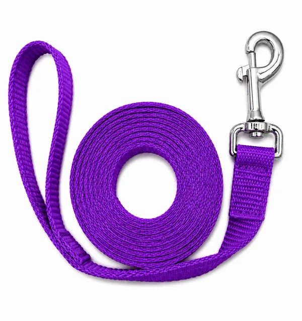 Classic Leash Purple 