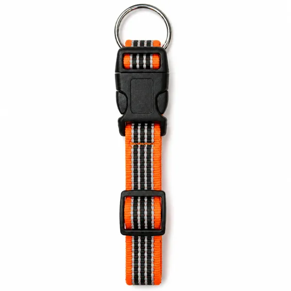 Reflective Collar Orange 