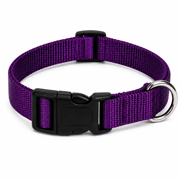 Purple Pet Walk Classic Collar
