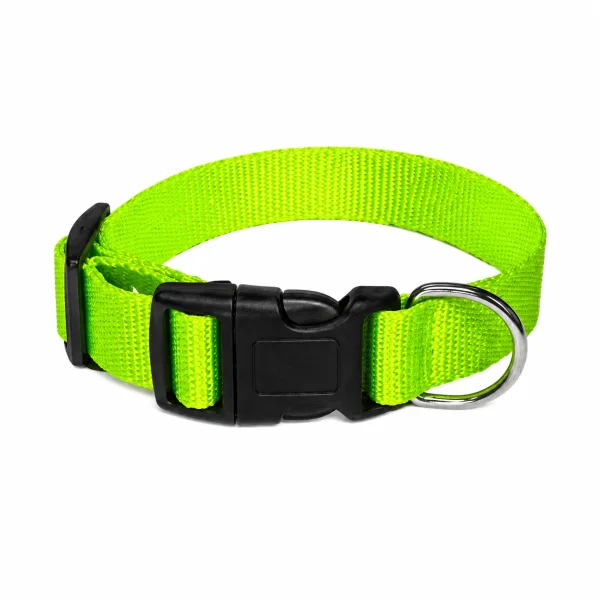Pet Walk Classic Collar Green 