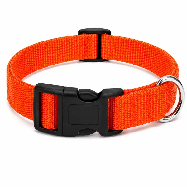 Pet Walk Classic Collar Orange 