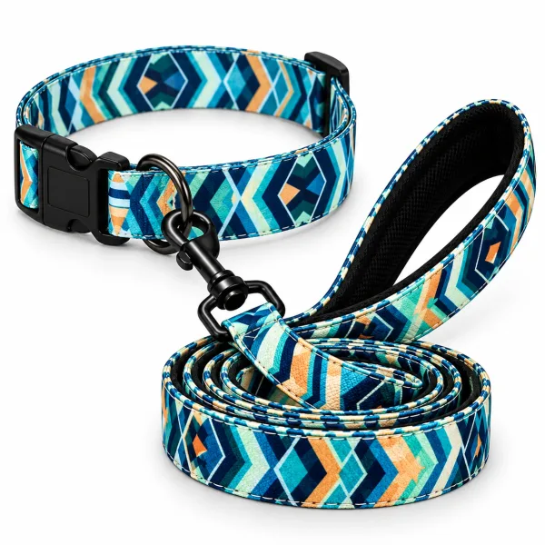 Digital Print Collar & Leash Set | Urban Geometric Design | L - 25-50 kg |