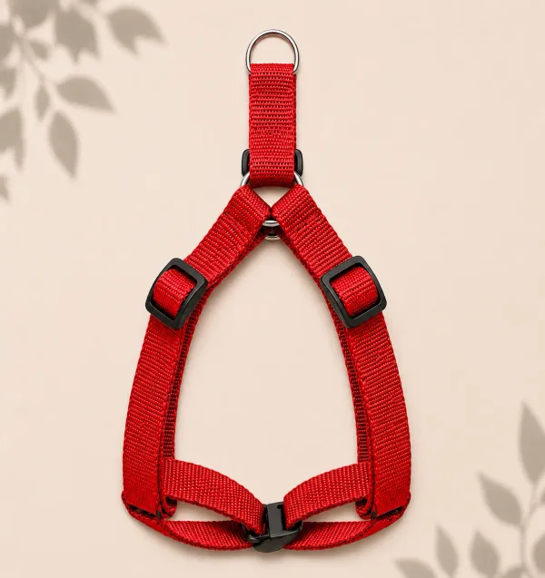 Harness