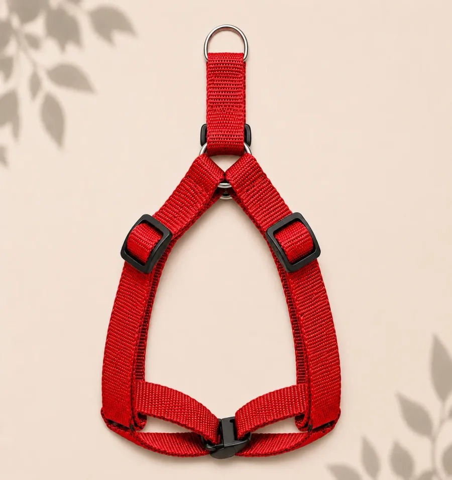 Harness