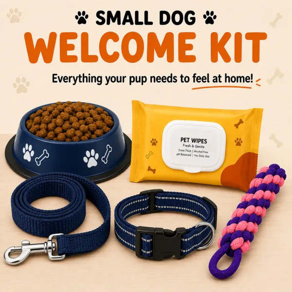 Welcome Kit - Small dogs - Blue - Size Small