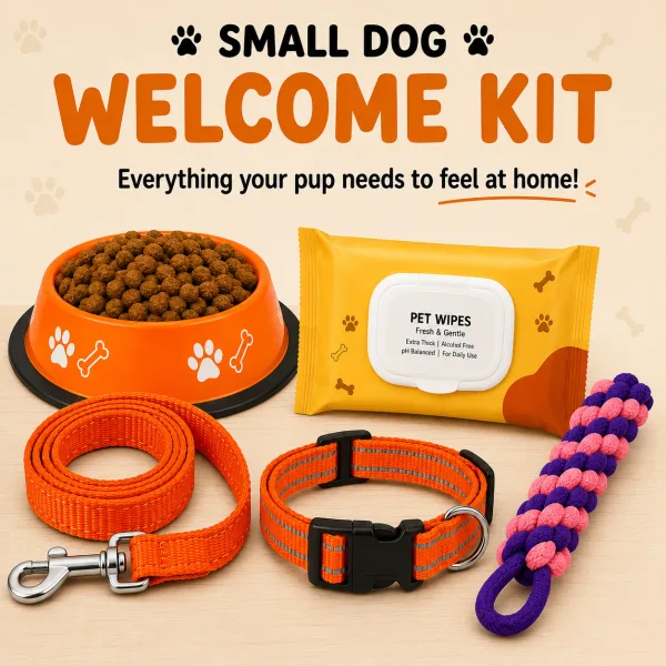 Welcome Kit - Small dogs - Orange  