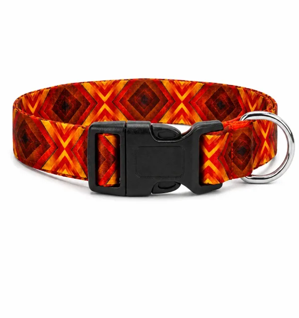 Digital Print Collar | Stylish & Durable |Orange |