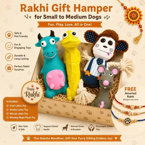 Rakhi Special Playful Gift Hamper for your Furry brother/sister
