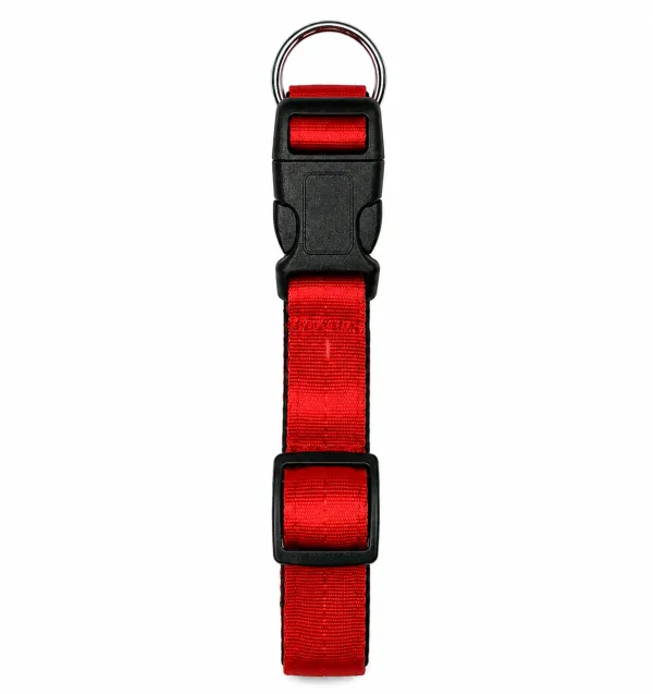Padded Collar - Red 